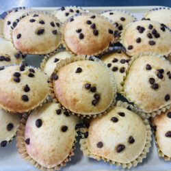 ♡チョコチップマフィン♡